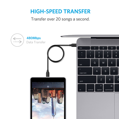 PowerLine 3ft USB-C to USB-C 2.0