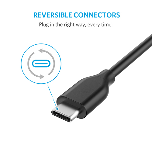 PowerLine 3ft USB-C to USB-C 2.0