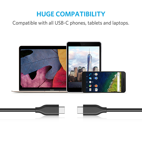 PowerLine 3ft USB-C to USB-C 2.0